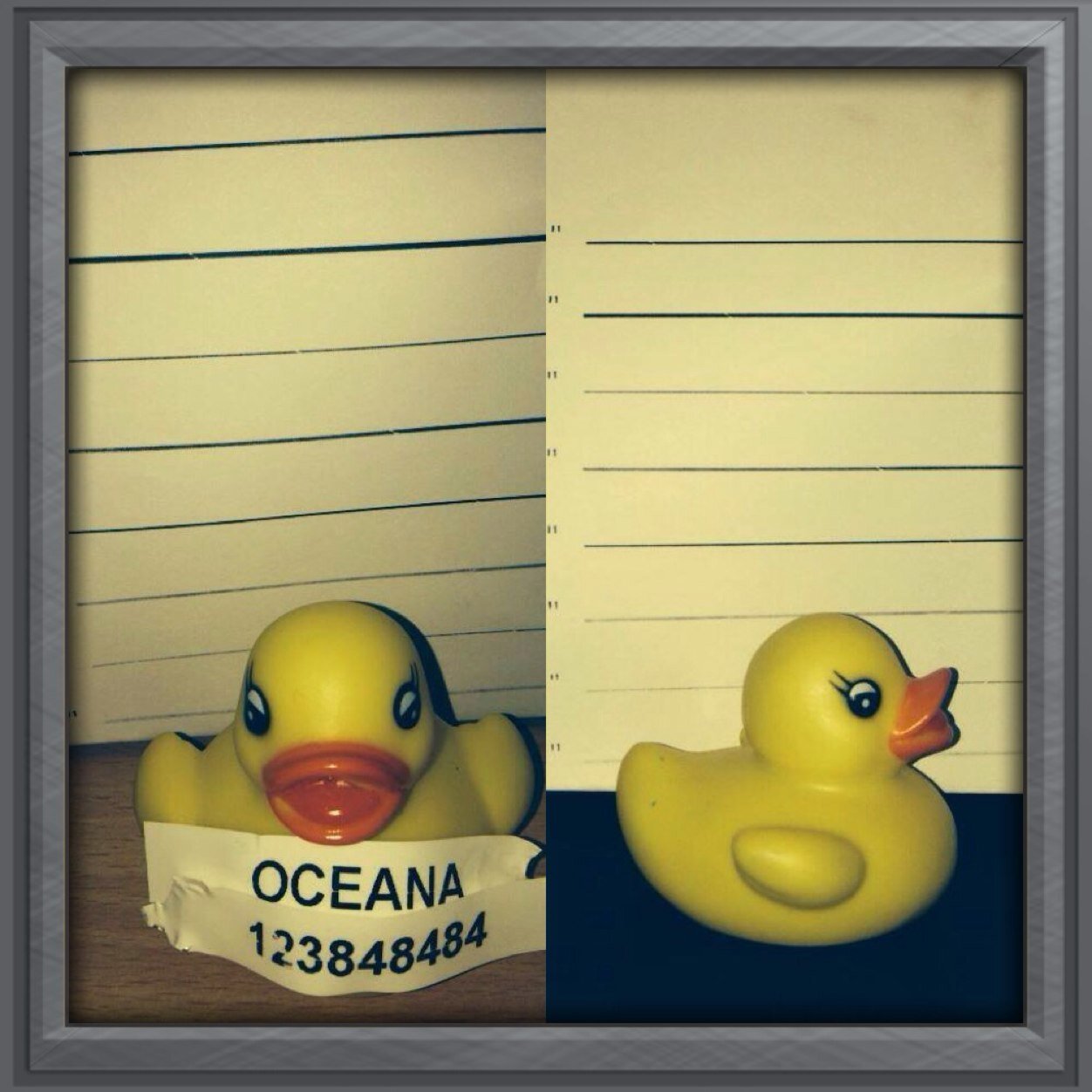 Quack quack! We love @oceana_watford foam partaaaays! #VID #VeryImportantDucks We're a bit duckin quackers! All views are our own and not the views of Oceana!