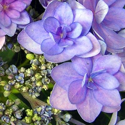 Squirrelbasket's profile picture. Journalist, editor, designer, trainer, former archaeologist, fan of nature, photography, scifi, genealogy & rugby - see my blog, too...