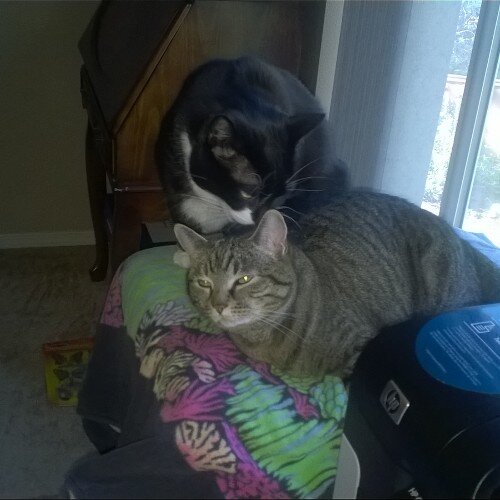 TLEspana's profile picture. Kindness to others leads to a healthy and happy heart.