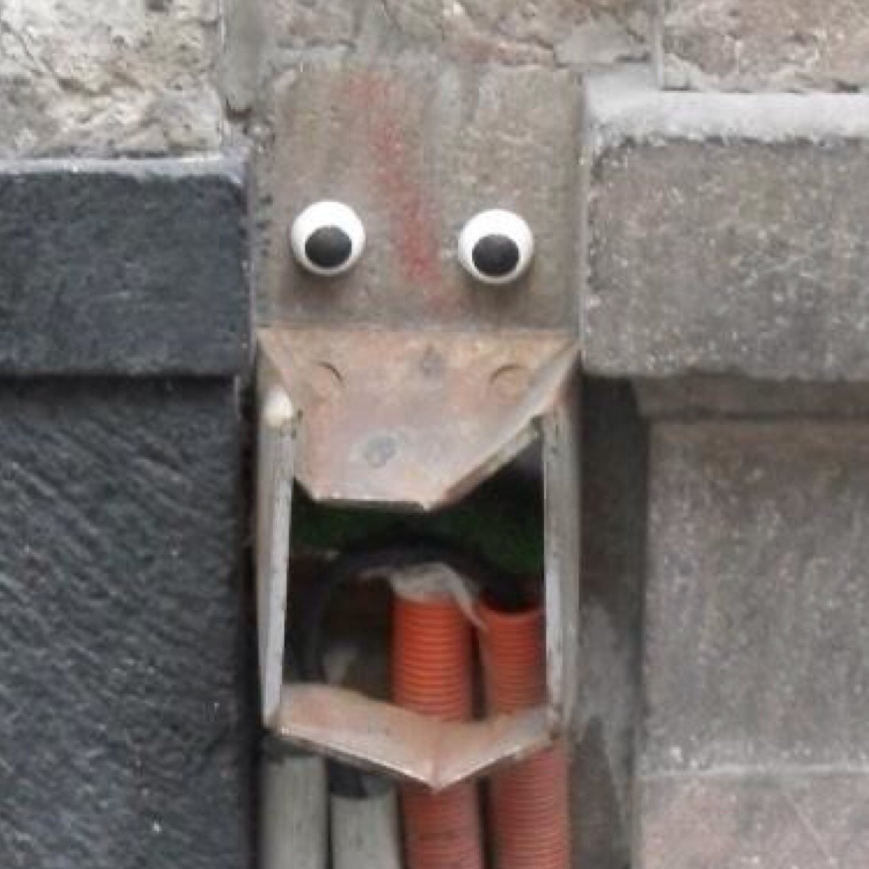 mesagajo's profile picture. 