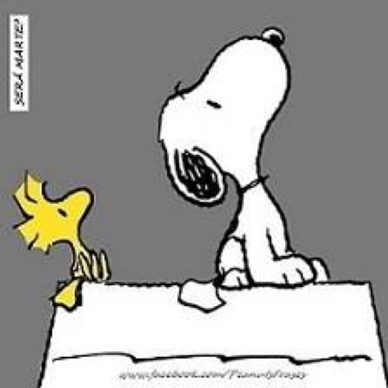 sleepyfreakhead's profile picture. 