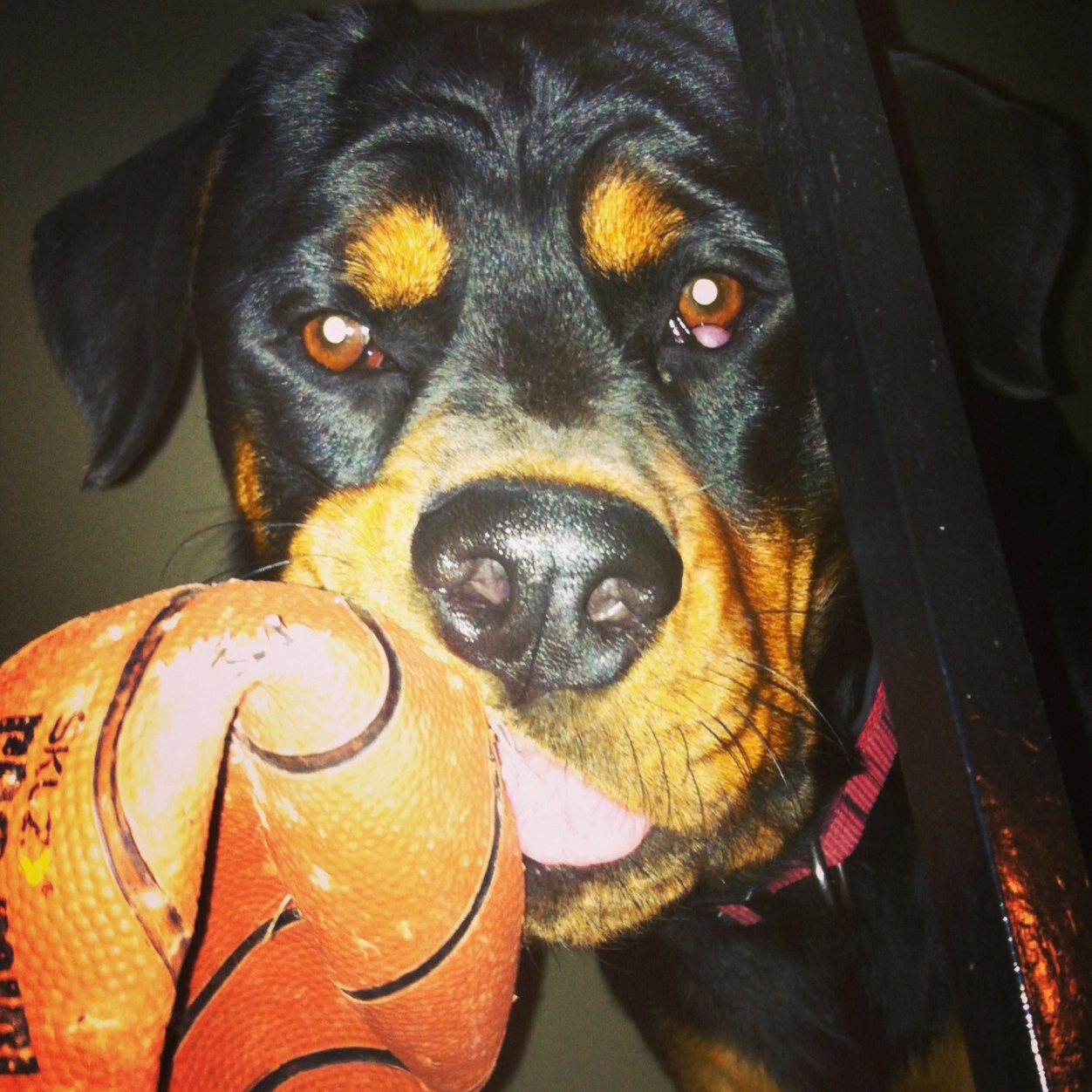 kholliday323's profile picture. 