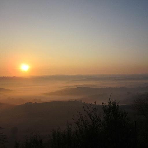 andylesliewino's profile picture. Wine, food, wine.