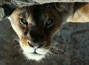 XIKES's profile picture. 