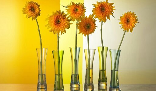 zeeshanzach's profile picture. hi iam a new star from Indonesia ...