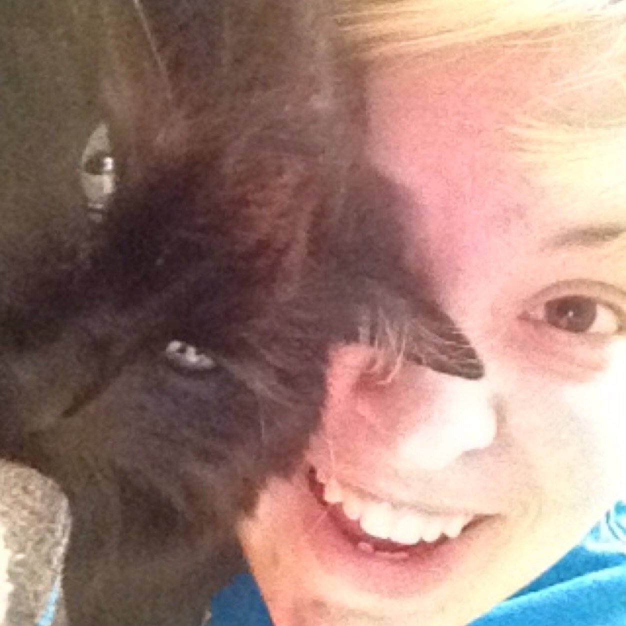 ctveita's profile picture. I love cats and my flowers