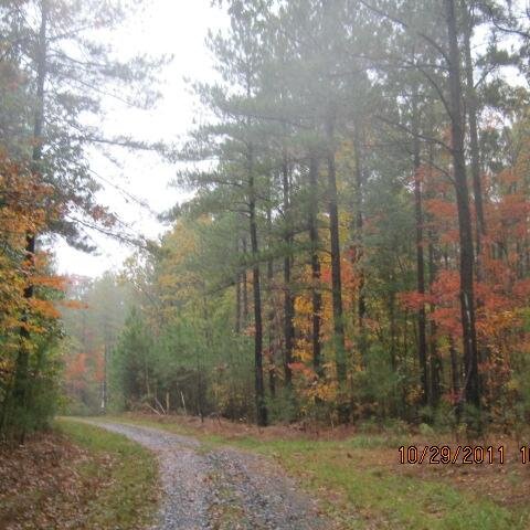 Two roads diverged in a wood, and I—	
I took the one less traveled by,	
And that has made all the difference. Robert Frost