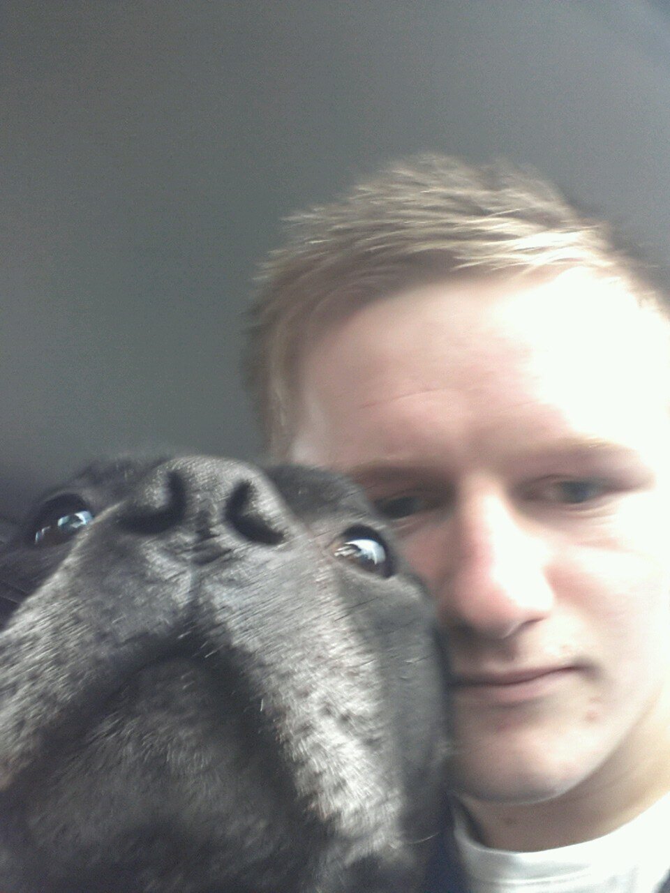 kieranyoung1994's profile picture. 8.7.2011 I love you Sydney Stead ♡♥