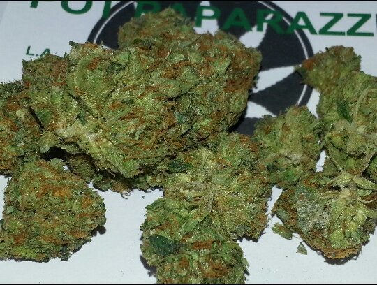 PotPaparazzi420's profile picture. Productive $ Postive Potheads Breakin Down Trends & Everything Wavey in Our Grinder Go Follow Us (IG): PotPaparazzi (FB): Pot Paparazzi (Vine):Pot Paparazzi