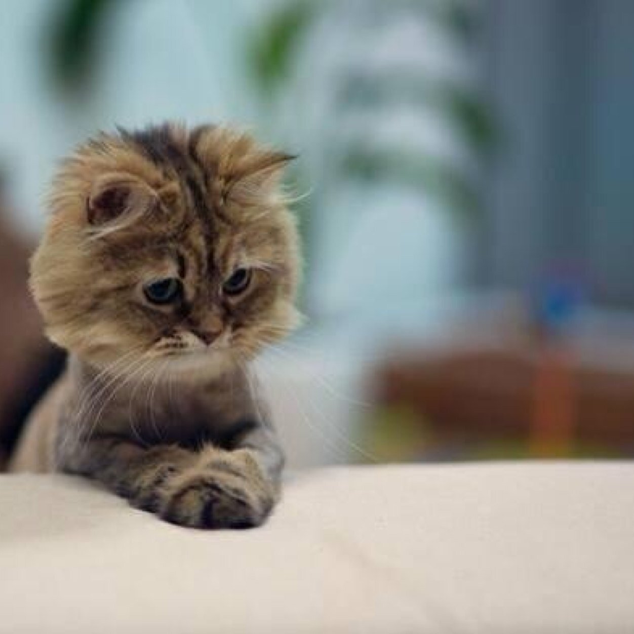 leighdouglasuk's profile picture. Never said it was good....