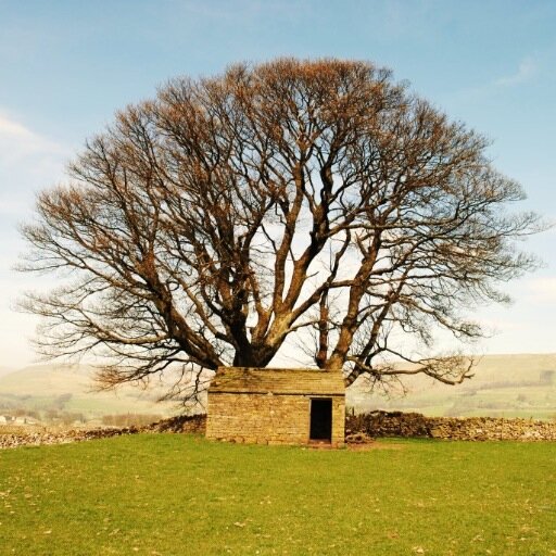 ArtyDales's profile picture. 3rd-5th May 2014 Festival of Arts in Leyburn FREE More details on https://t.co/yW2rPLpJ9F &