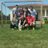 RJavier_Mendoza's profile image