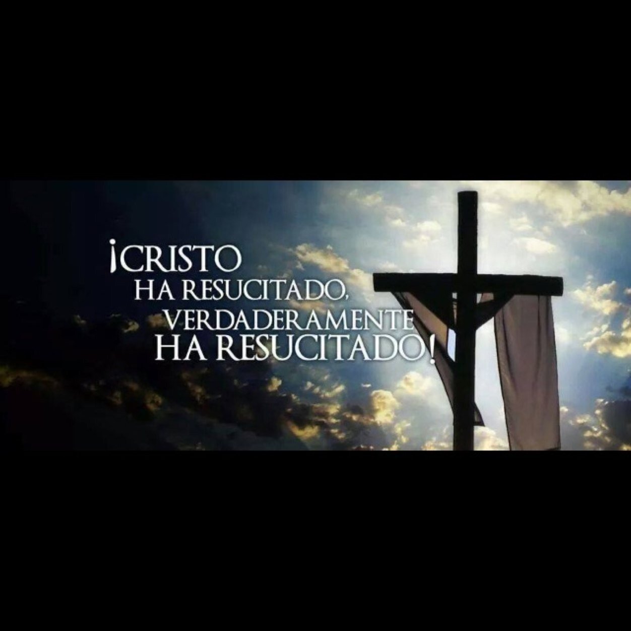 GarantonElsa's profile picture. 