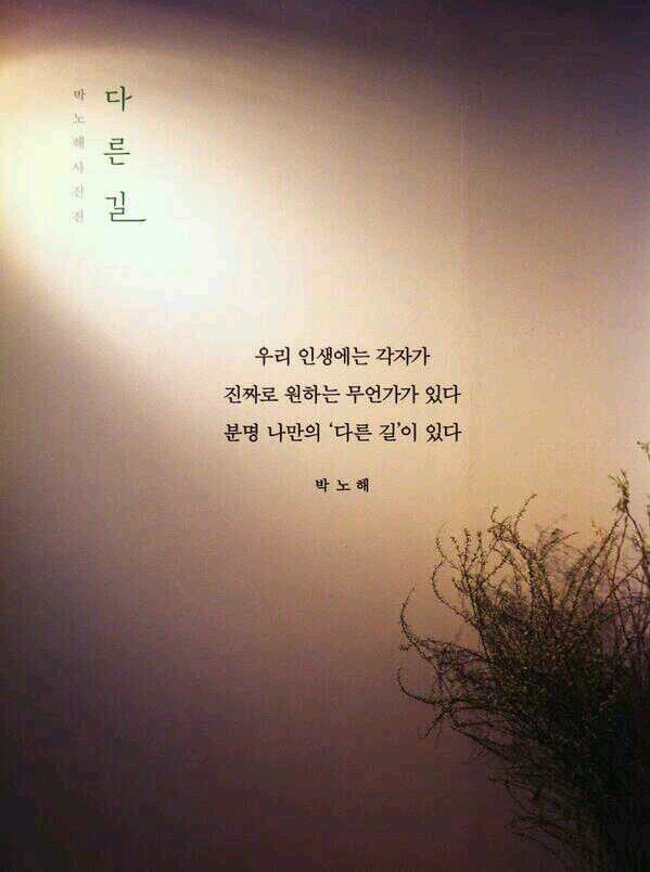 kellymoon415's profile picture. 생긴대로 살겠다.