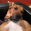 Geoff Freeman - @gcfofalltrades - Twitter