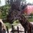 mommakacey6's profile image
