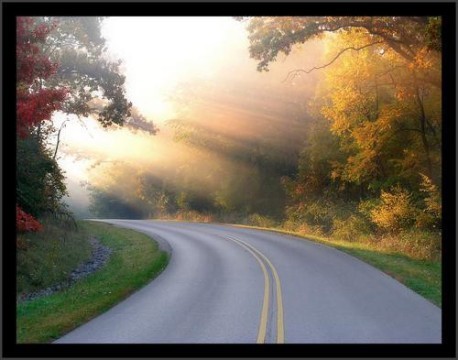 junnitas65's profile picture. 