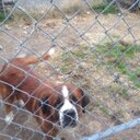 scott rife - @rife_scott - Twitter