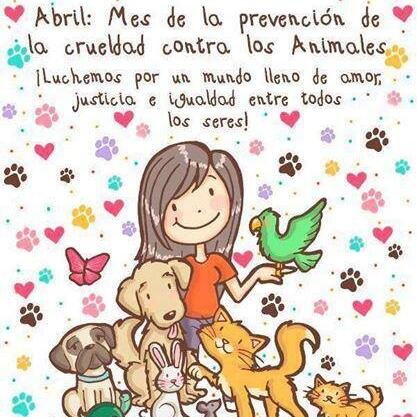 judoka_july's profile picture. ¡Amor y respeto por los animales!