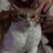 sbelani123's profile image
