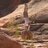 Scottpageyoga's profile image
