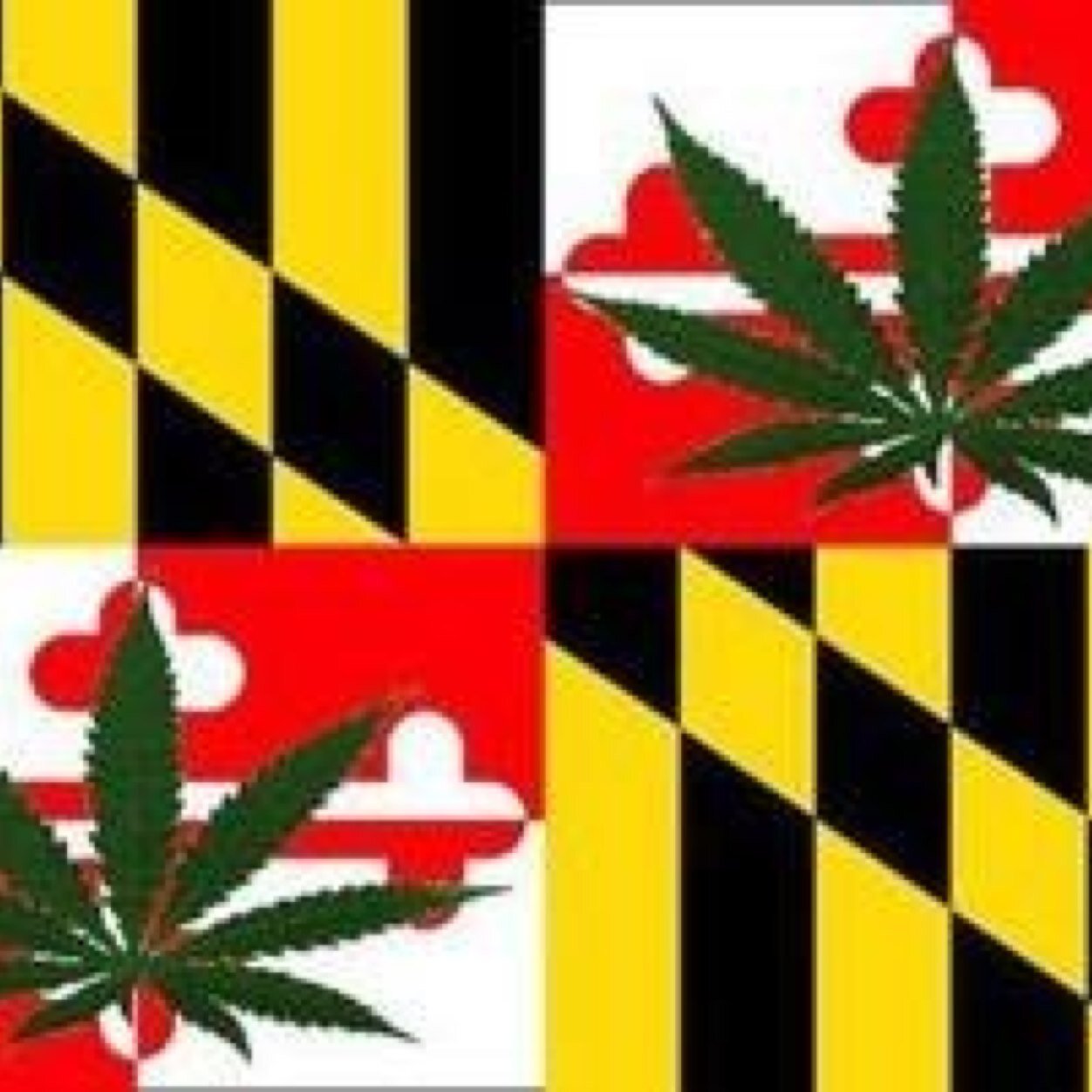 Medical Marijuana (MMJ) Advocate striving for the education, decriminalization, and responsible use of Medical Marijuana.
