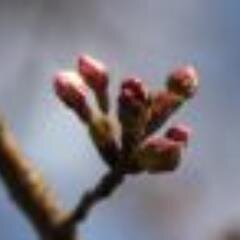 読書が好き、書くのも好きです。
いつか自叙伝を出したいな～。