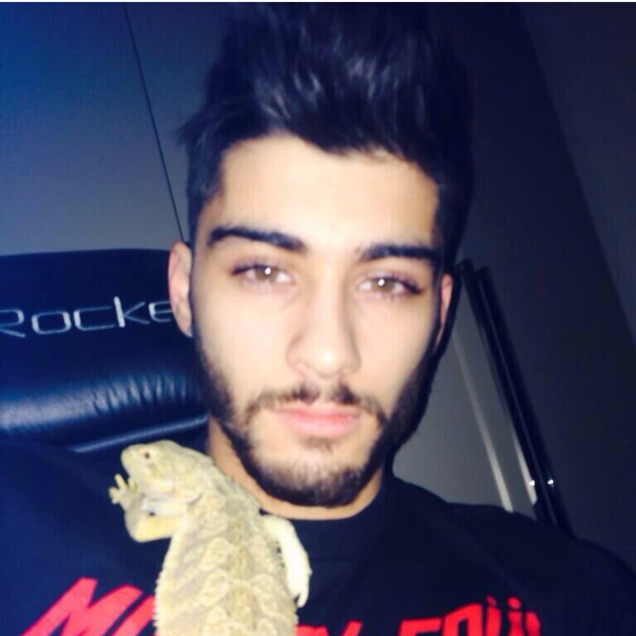 CmsmsDnsana's profile picture. 