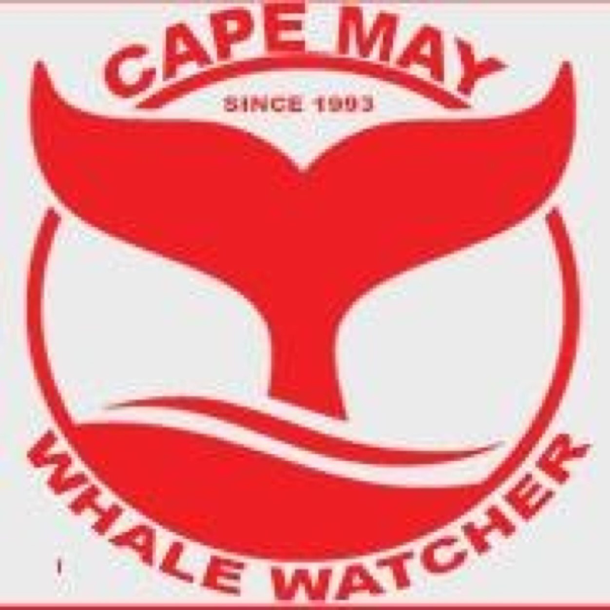 Since 1993, continuously, the Largest, Fastest, and Safest Whale and Dolphin Watchers in New Jersey. Only Boats to Guarantee Marine Mammal Sightings.