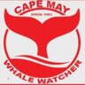 CapeMayWhale's profile picture. Since 1993, continuously, the Largest, Fastest, and Safest Whale and Dolphin Watchers in New Jersey. Only Boats to Guarantee Marine Mammal Sightings.