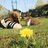 XxCrystal95xX's profile image