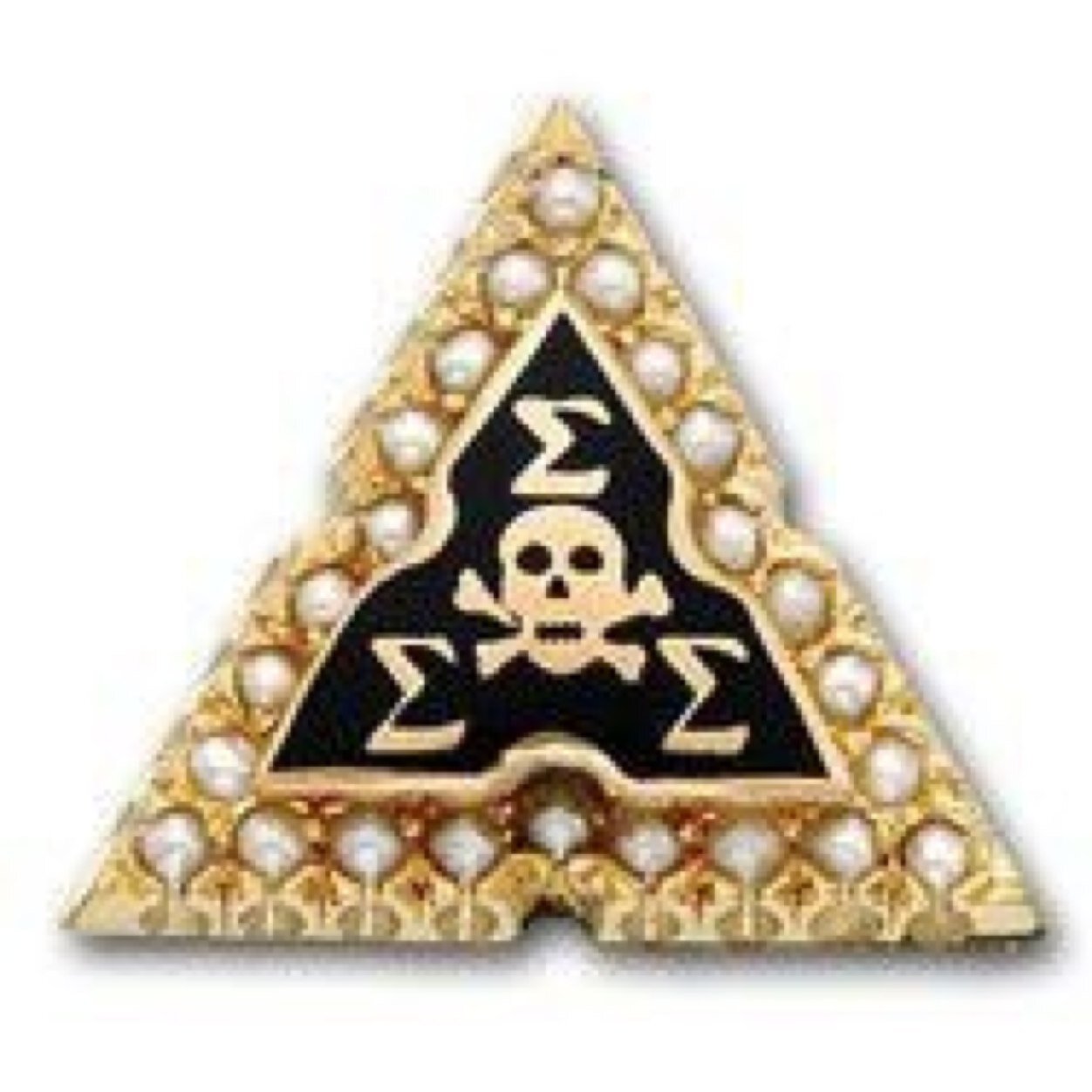 TriSigmaAOCAB's profile picture. Proud TriSigma volunteers serving to advise and guide the women of the Alpha Omicron Chapter of Sigma Sigma Sigma to help them move Ever Forward.