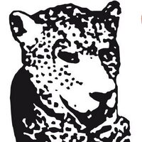 Tiger & Woods (@wigerandtoods) 's Twitter Profile
