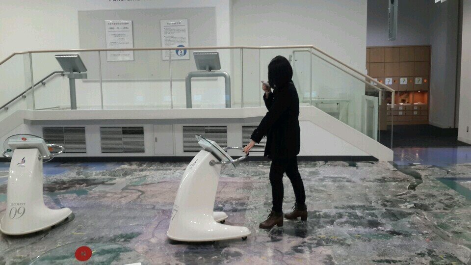 Visual Anthropologist, K-ARTS 한국및동아시아영화연구전공