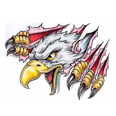 alexx442's profile picture. ola