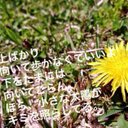 あさ (@13_asa0) Twitter