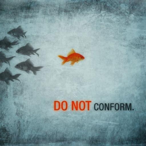 VtotheIsh's profile picture. Like a nascent star, ascending in the friscalating dusklight~@JamonBagel 3 pet mice. Likes surfing, cooking and the gif function.