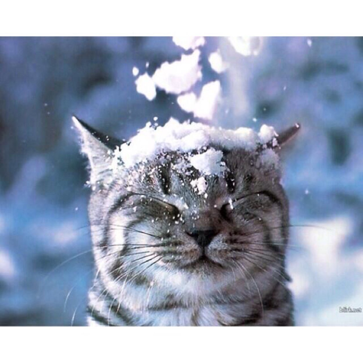 atdgoldx2's profile picture. 