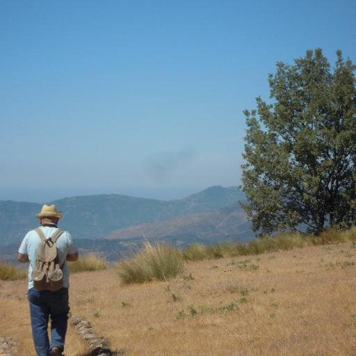 talvezsiono's profile picture. 