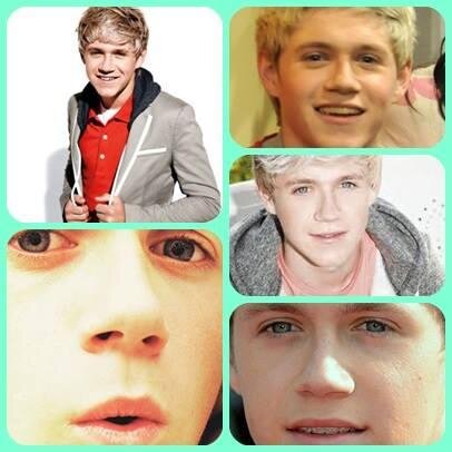 Directioner Forever
