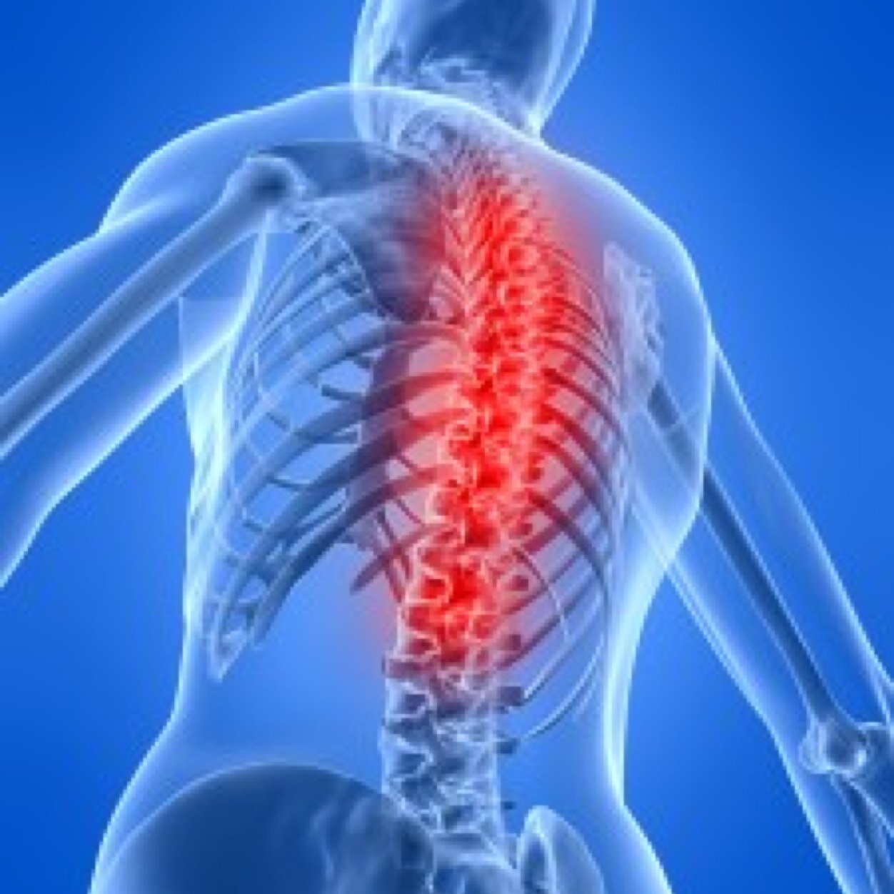Dedicados a promover la salud del    sistema musculoesquelético