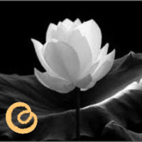 foreverhope23's profile picture. I am 29 living the life with PCOS and infertility.  Clomid, Injectables, IVF; Done it all with no luck. FET is in our future..
ForeverHopeful23@wordpress.com