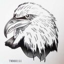 James Hosack - @JamesHosack2011 - Twitter