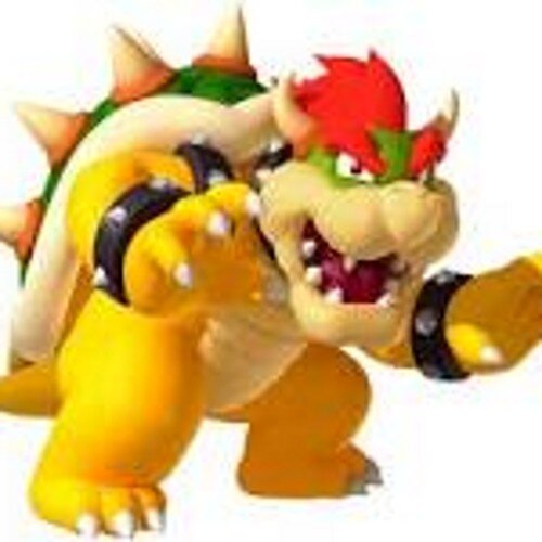 Hey, this is Bowser, also known as King Koopa. This is the Twitter account I update when I'm not kidnapping @_RealPeach_