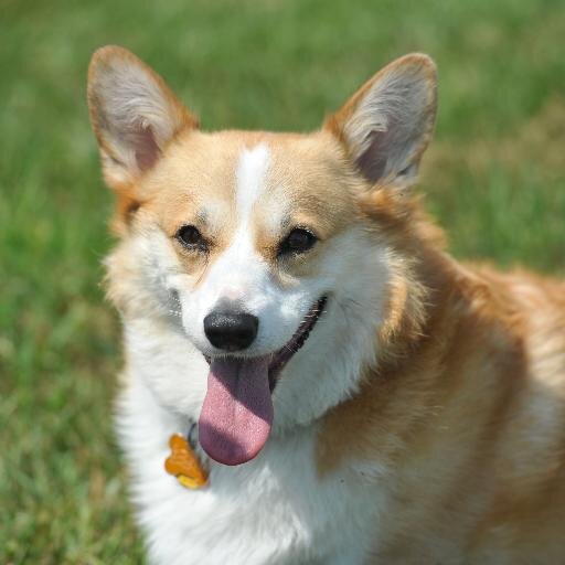 ahailey51's profile picture. 