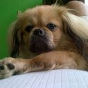 jose efrain cabrera  - @24_jjoseth - Twitter