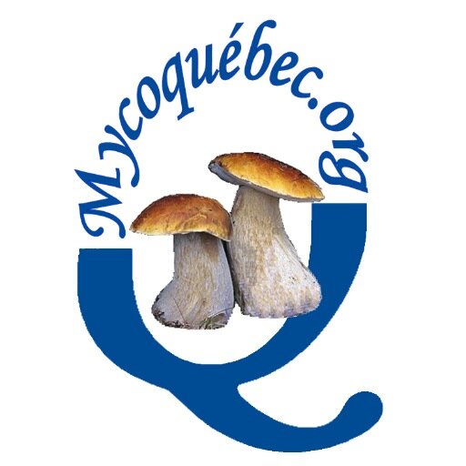 Organisation vouée à la connaissance des champignons du Québec