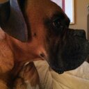 Cindy Pender - @CinpenCindy - Twitter