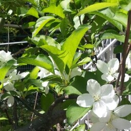 づかおたです。どの組もまんべんなく好きな節操なしです。無言フォローごめんなさい！