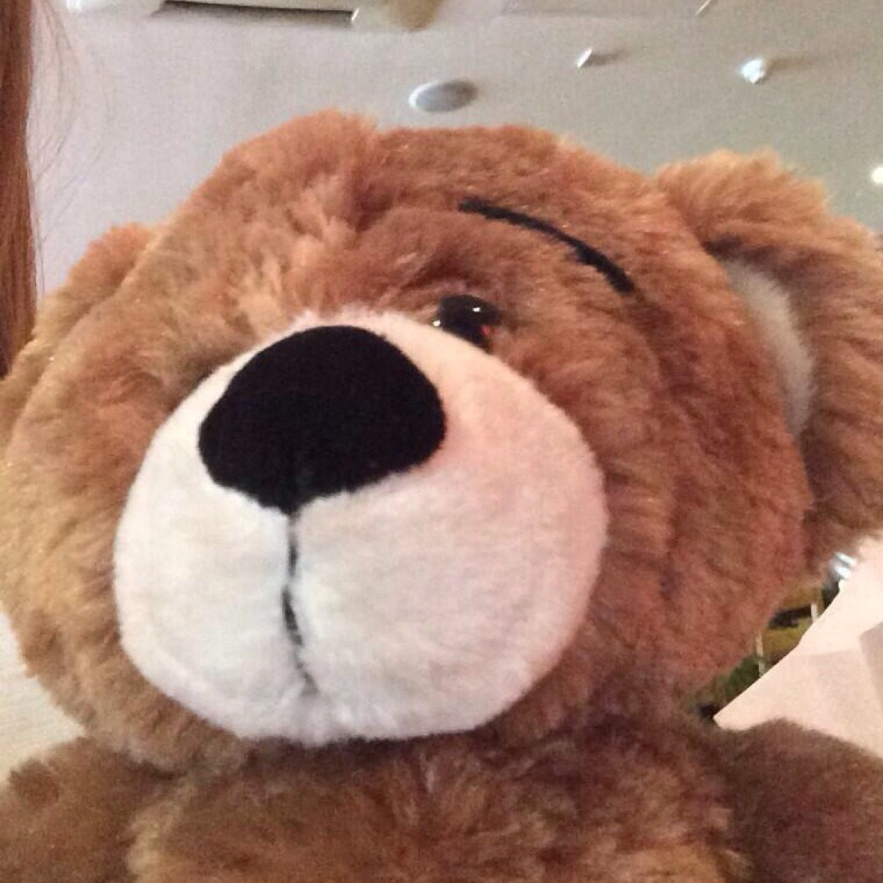 Mascot for the finest Italian Food in Southport! Often partial to the homemade desserts #yummy ☎️01704 530099